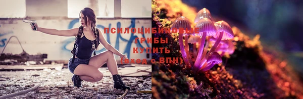 стаф Белоозёрский