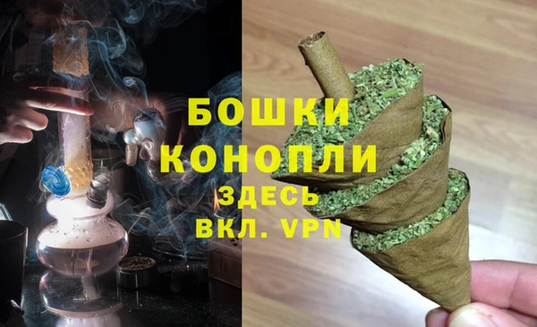 стаф Белоозёрский