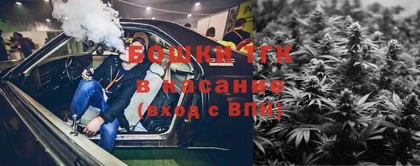 стаф Белоозёрский