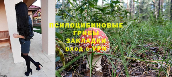стаф Белоозёрский