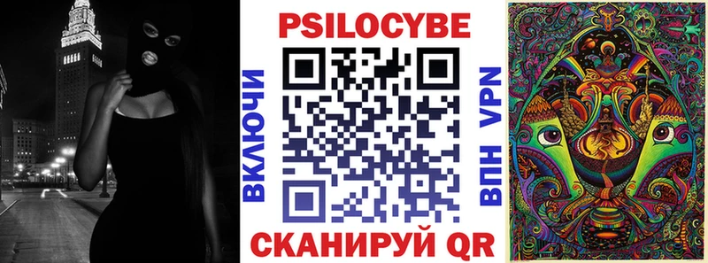 Псилоцибиновые грибы Psilocybe Белорецк